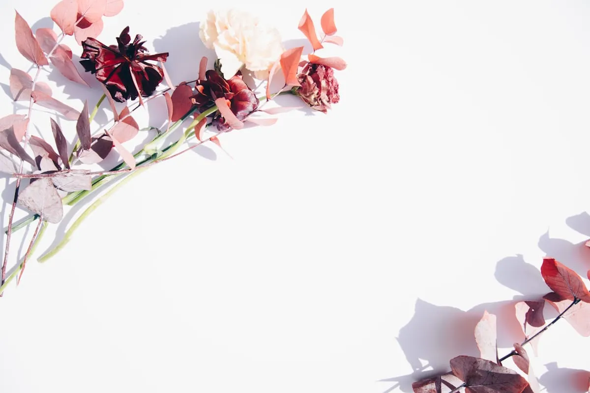 Ivorylanternstudio